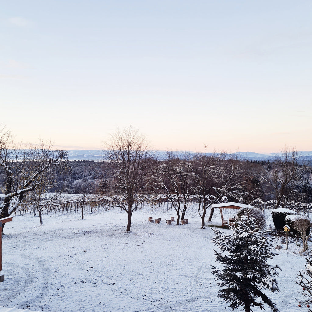 Winter-Öffnungszeiten / Ab Hof-Verkauf