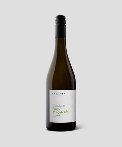 Sauvignon blanc Frizzante – 2023